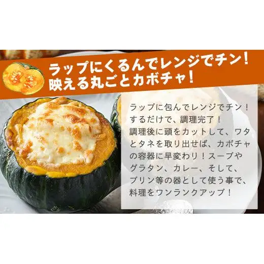《先行予約》高級カボチャ「栗五郎」サイズ色々2-5個　OI-13