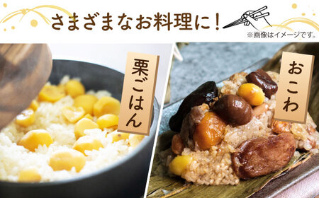 【先行予約】 和栗 L~3L(約1kg) 熊本 山鹿 国産 生栗 【すみれファーム】 [ZEP057]