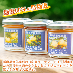 isa549 手作りはちみつ入り日向夏マーマレード(計6個・各140g) 日向夏 加工食品 果物 フルーツ 詰め合わせ 果肉 柑橘 低糖 ハンドメイド ジャム ギフト【薩摩美食倶楽部】