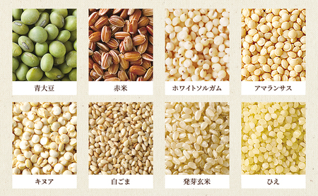 雑穀 十六穀ごはん 食物繊維 雑穀【1,100g(25g×22包×2袋)】