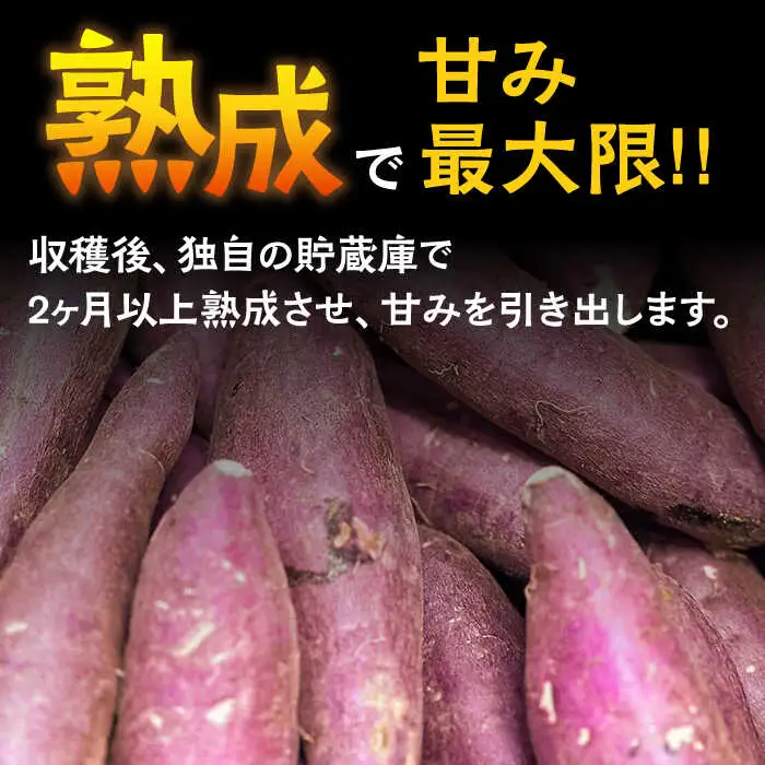 【数量限定】【ねっとり甘い熟成サツマイモ】冷凍焼き芋（紅はるか） 30本(S?M) / さつまいも やき芋 冷凍 小分け 個包装 冷やし焼き芋 / 南島原市 / 池田海陸物産 [SEW003]