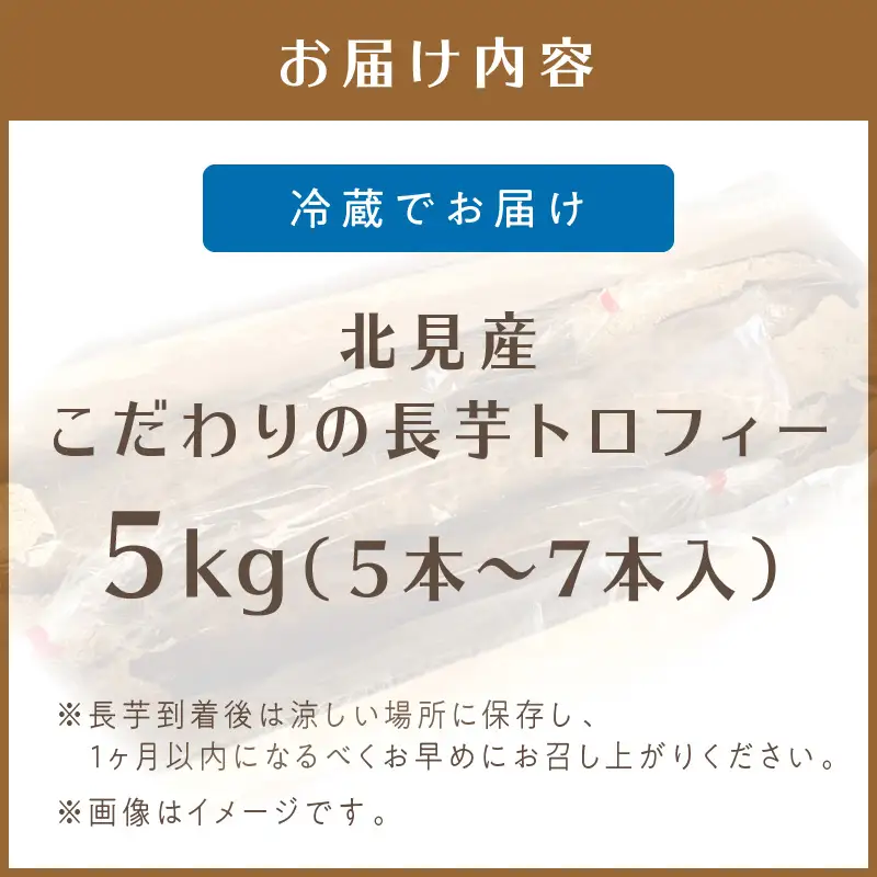 【予約：2026年11月下旬から順次発送】北見産 こだわりの長芋トロフィー 5kg箱 ( 長いも ながいも 野菜 数量限定 期間限定 5キロ )【169-0001-2026】