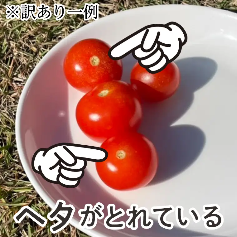 【訳あり】高糖度ミニトマト「宝玉丸」3kg【期間・数量限定】