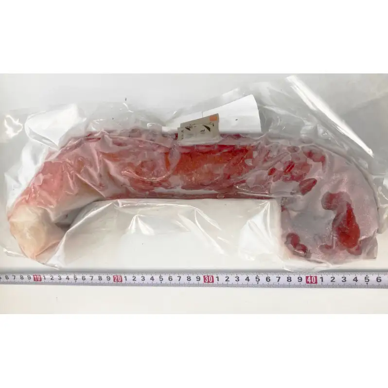 オホーツク枝幸 浜茹でボイル たこ足 2本 計1.4kg 冷凍 極太［山上佐藤水産］1本600～800g【 たこ タコ 脚 海鮮 魚貝類 北海道 オホーツク 枝幸 】