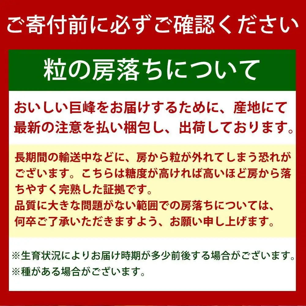 【8・9・12月 全3回】紀州産 巨峰とフルーツ定期便B（巨峰・梨・みかん） 【魚鶴商店】