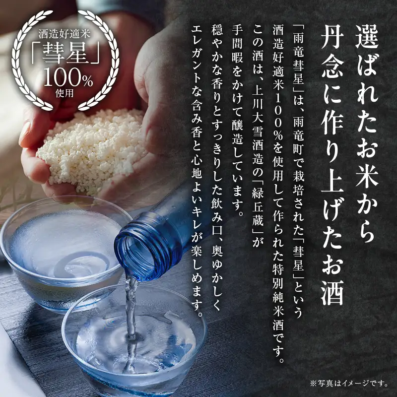 雨竜彗星 720ml × 2本 日本酒 酒造好適米 北海道雨竜町