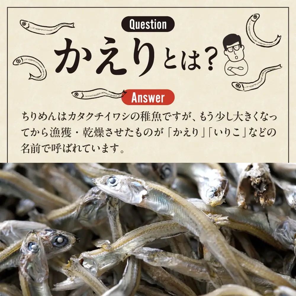 宮原水産 倉橋かえり 1kg カタクチイワシ 煮干し 魚介 魚介類 海鮮 海産物 おやつ 肴 カルシウム お取り寄せ 送料無料 国産 広島産 日本 広島県 呉市 ku005-017-r