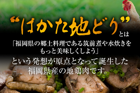 はかた地どり炭火焼セット500g（100g×5p） お取り寄せグルメ お取り寄せ 福岡 お土産 九州 福岡土産 取り寄せ グルメ 福岡県