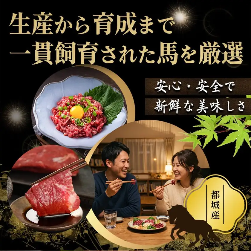 ≪家庭用≫馬刺し用赤身ブロック〔19-0103〕_(都城市) 都城産 馬肉 高タンパク 低カロリー 高ミネラル 低脂肪 鉄分 グリコーゲン 必須アミノ酸 ビタミンE 女性に人気