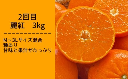 【令和８年発送】先行予約　柑橘フルーツ４回定期便（ぽんかん３kg・麗紅３kg・文旦５kg・小夏３kg）【J00018】