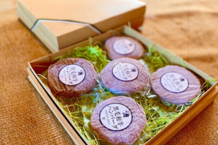 ハンバーグ 冷凍 黒毛和牛 美保野牛 和牛ハンバーグ 5個 セット