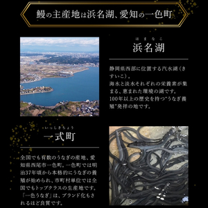 鰻蒲焼重箱「特上」 山椒・漬物付き　ギフト ウナギ 鰻 蒲焼 国産 国内産 プレゼント 誕生日 お歳暮 上田市 コシヒカリ グルメ 贅沢