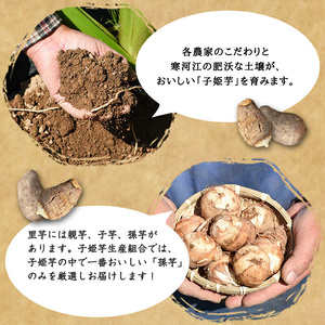 令和8年産 伝統野菜 里芋「子姫芋」3kg（500g×6袋）土付 山形県産 【2026年10月下旬頃から2027年1月頃発送予定】　012-B-BK004