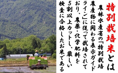 山形県小国町産 つや姫10kg（5kg×2袋)