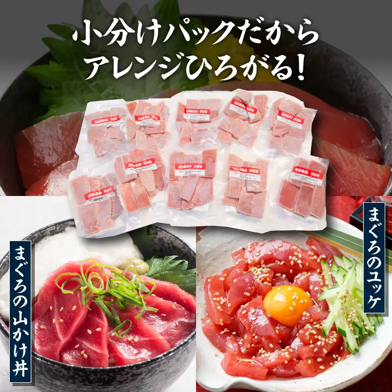 ＜選べる配送月＞【 神奈川県漁連 】 ＜ 小分けパック で 使いやすい ＞切れてる 天然マグロ 100g×10パック  M077-005 冷凍 マグロ