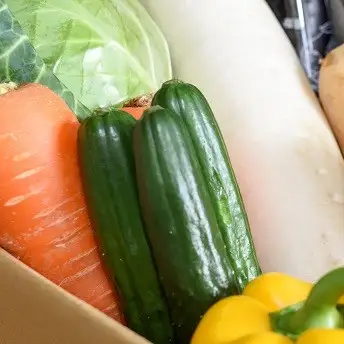 新鮮野菜のお届けによる見守りサービス（1ヶ月2回お届け）【兵庫県 高砂市】