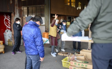 有田食品 土佐文旦 10kg 贈答用 文旦
