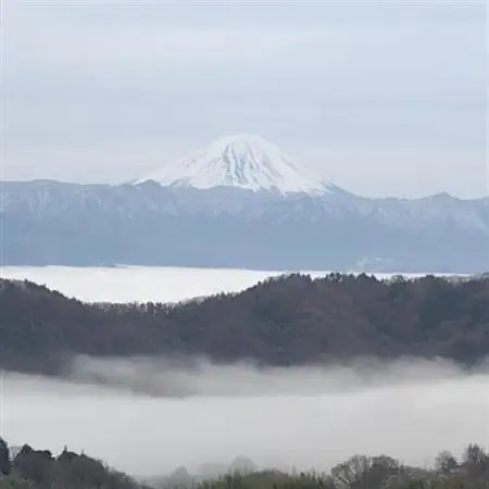 【2026年発送】10月中旬発送「牧丘天空の丘ヌーベルローズ」 約1kg(2～3房)【配送不可地域：離島・沖縄県】【1473359】