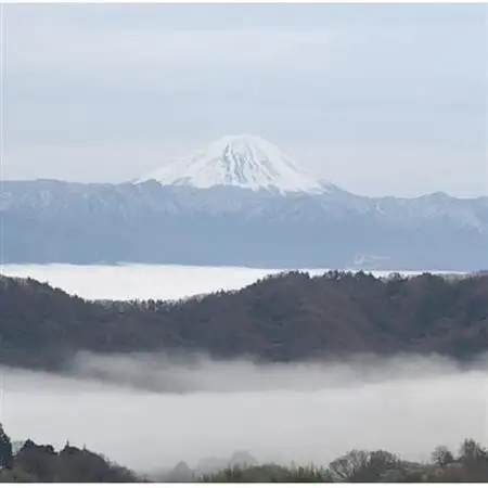 【2026年発送】10月下旬発送「牧丘天空の丘ヌーベルローズ」 約1kg(2～3房)【配送不可地域：離島・北海道・沖縄県・中国・四国・九州】【1473362】