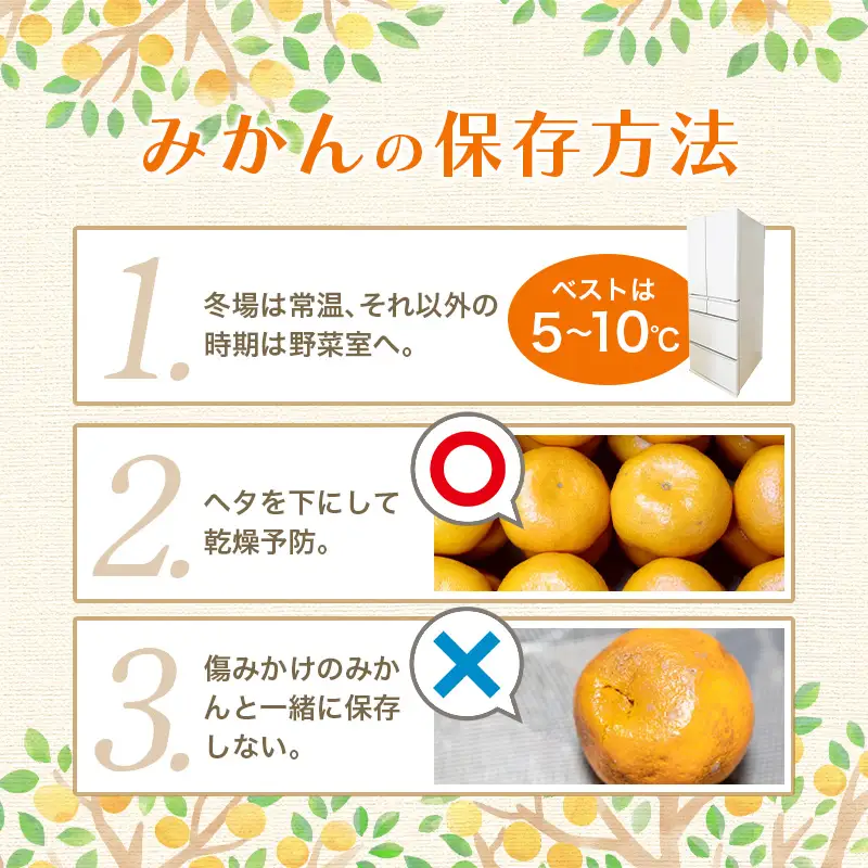 【2026年12月発送分】 ＼光センサー選別／農家直送 こだわりの有田みかん 約4kg＋150g(傷み補償分) 【ご家庭用】【12月発送】みかん ミカン 有田みかん 温州みかん 柑橘 有田 和歌山【nuk148-12B】