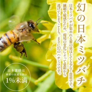 【限定数量】日本蜜蜂ハチミツ 170g はちみつ