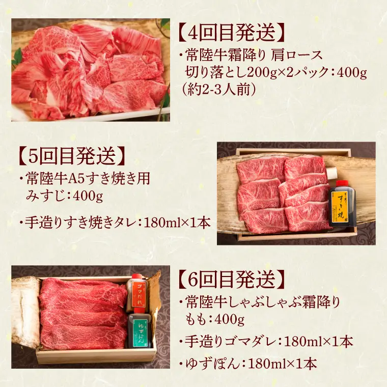 6ヶ月 定期便 常陸牛 Bコース 肉のイイジマ（DU-108）