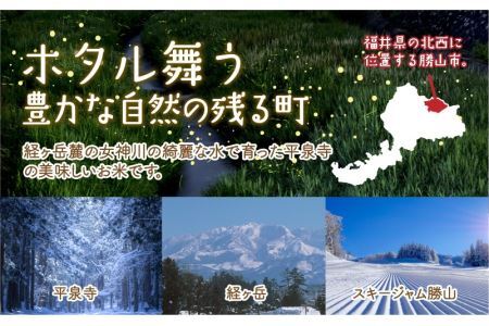 令和6年産 コシヒカリ4kg [A-020015]