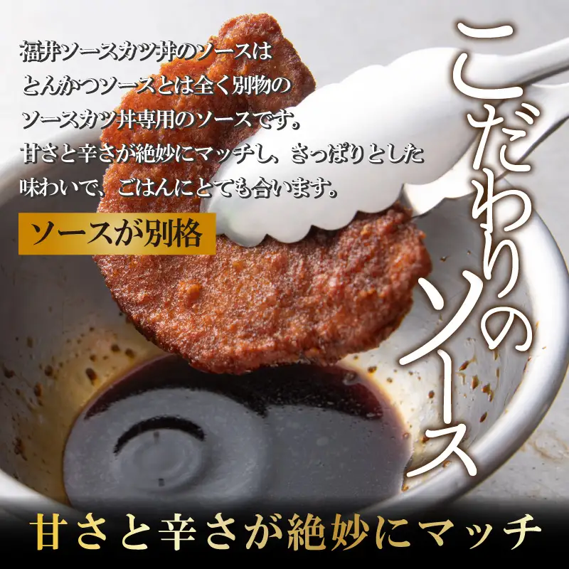 惣菜 ソースカツ丼セット 6人前  [A-037019]