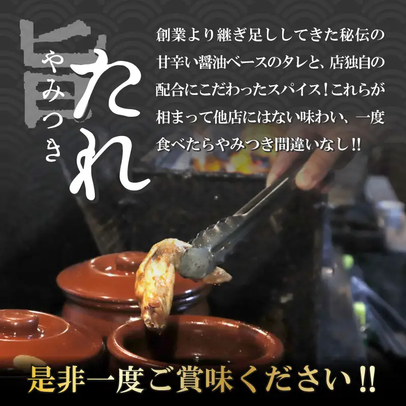 手羽先 スパイシー 恐竜 5本×3パック スパイス付 [A-037021]