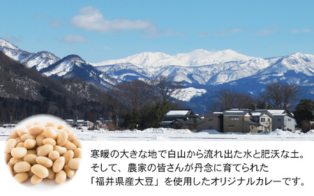 ザウルスキッチンカレー 5箱 [A-038007]