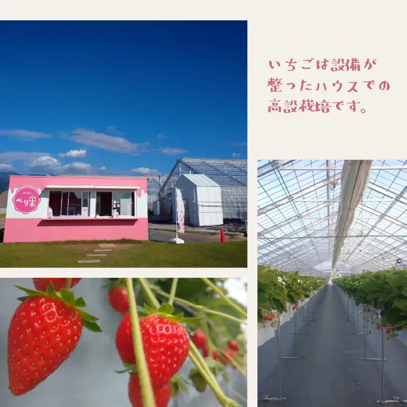 アイスクリーム 2種セットアイス