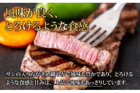 【肉の定期便×12回コース】肉好き大集合！若狭牛 食べ比べ 定期便！【福井のブランド牛肉】【4等級以上】[O-058001]