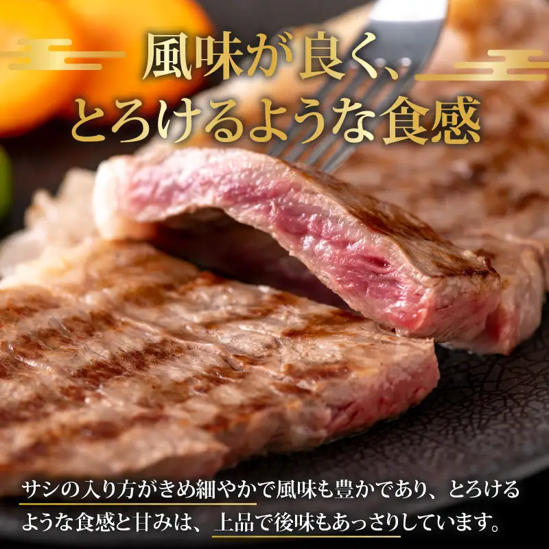 若狭牛 サーロインステーキ 510g(170g×3) [C-058002]