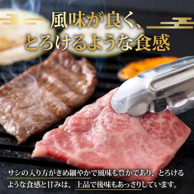 若狭牛 焼肉食べ比べセット 1kg（上カルビ・モモ）[E-058002]