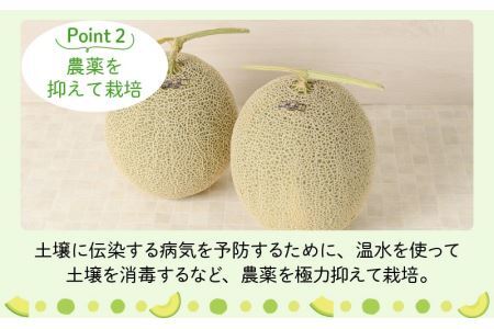 【先行予約】勝山 若猪野メロン (3玉 箱入り)   ※2024年7月中旬～8月中旬頃発送 [B-058004]
