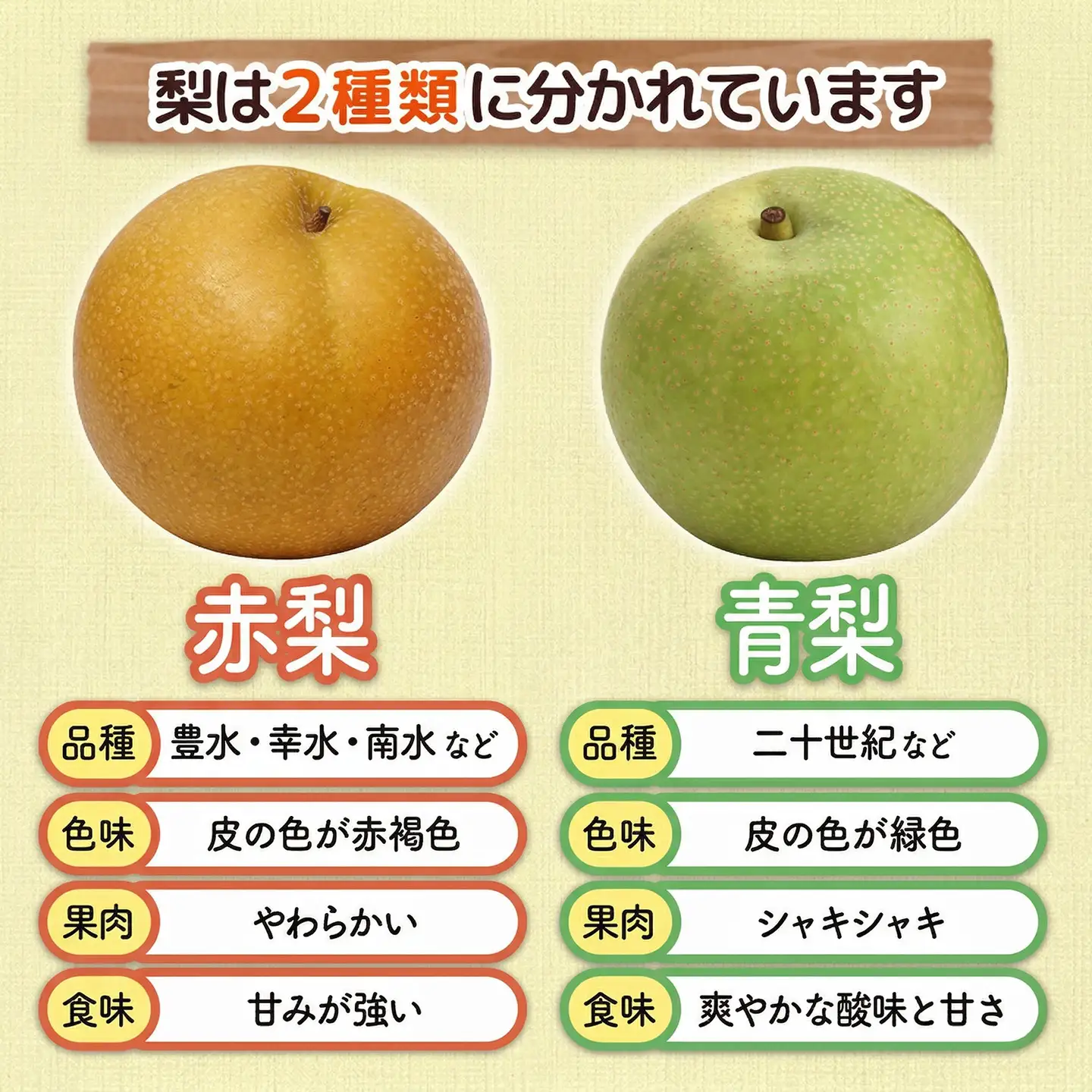 【ふるなびWEEK対象】梨 南水 約5㎏ 梨 訳あり