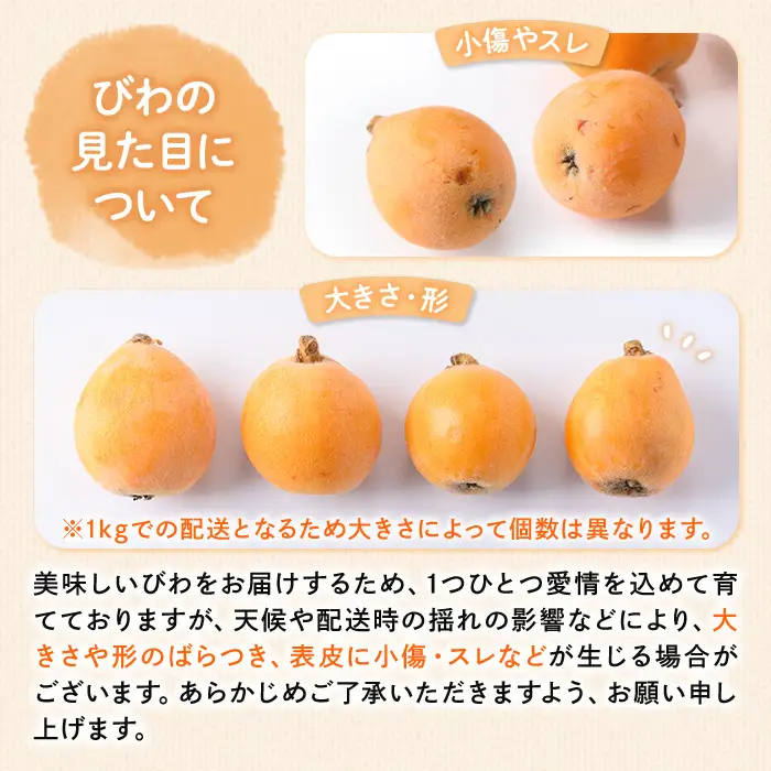 ＜先行予約！2027年5月下旬以降順次発送予定＞なつたより びわ(約1kg) 果物 フルーツ 産地直送 【man066】【Aglio nero】