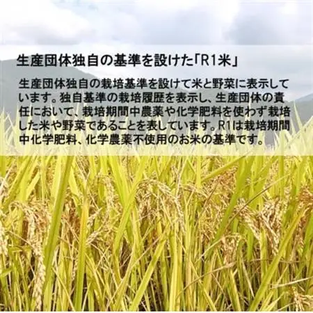 【栽培期間中化学肥料・化学農薬不使用】令和7年産R1米コシヒカリ10kg(精米)【1448701】