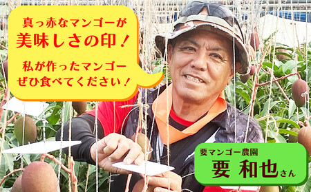 要マンゴー農園の完熟アップルマンゴー　2kg　4玉～6玉【2027年発送】