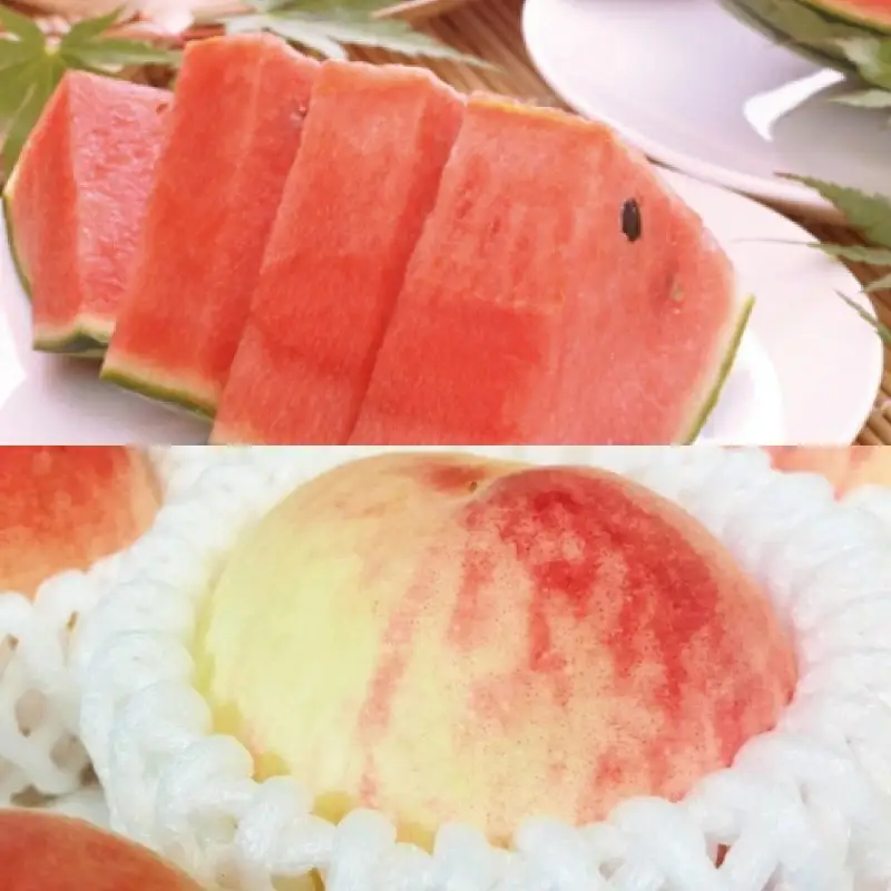 【旬のくだもの定期便】和歌山県の旬のフルーツをお届け！　全6回【Ｓ】（配送日時指定不可）※北海道・沖縄・離島への配送不可 / 定期便 フルーツ みかん いちご 清見オレンジ すいか 桃 柿 6回 【ard-tkb900A】