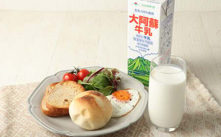 ＜ R8年熊本地震復興支援 ＞ 【12ヶ月定期便】大阿蘇牛乳 1L×12本(×12回) 合計144L らくのうマザーズ  常温保存 成分無調整牛乳 生乳100%使用 乳飲料 乳性飲料 ロングライフ 長期保存 送料無料