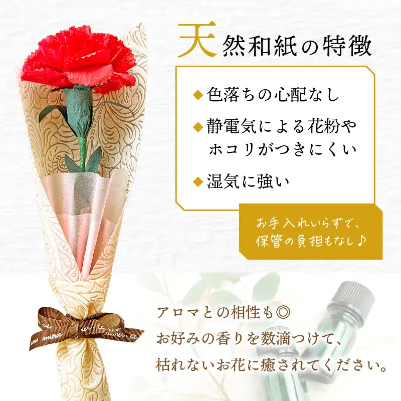 【先行予約】【母の日限定】母の日ギフト 越前和紙カーネーション 永遠の感謝 プレゼント【カラー赤】【2027年5月発送】  [e51-a004_01]