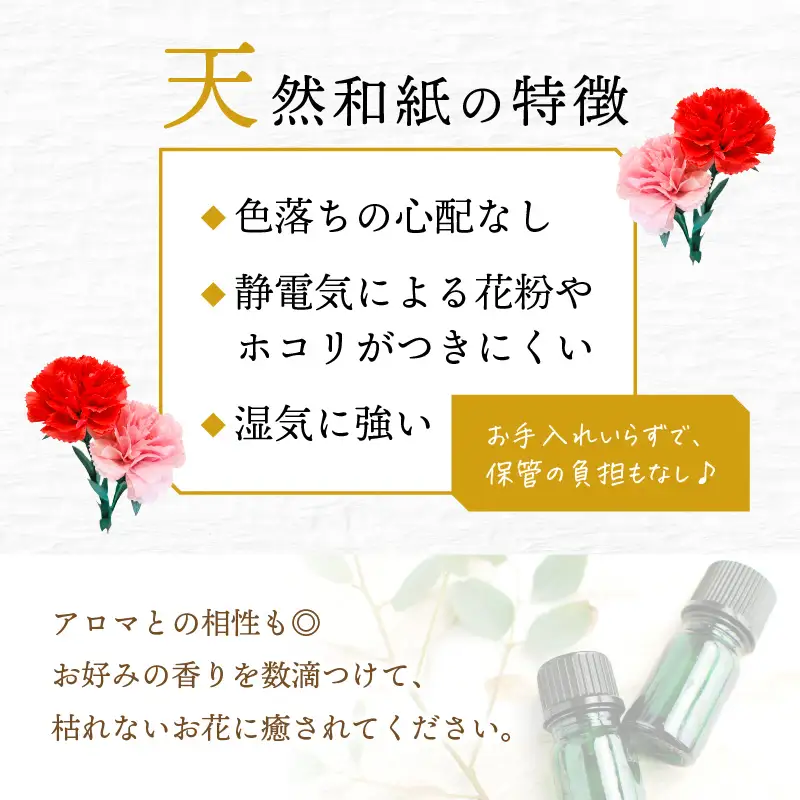 【先行予約】【母の日限定】母の日ギフト 越前和紙カーネーション1束 永遠の感謝 プレゼント【カラー赤】【2027年5月発送】 [e51-a005_01]