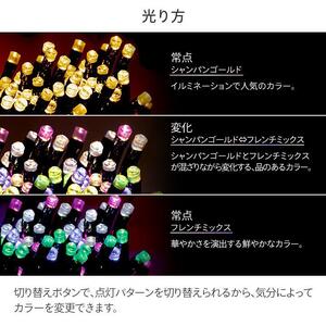 79905300 彩プレミアム ストリングスライト 100球