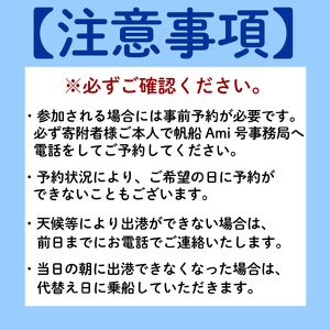 貸切クルー チケット 帆船Ami号 クルー 乗船