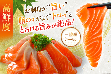 三陸産 銀鮭 お刺身用 サーモン 1kg（6～10p入） 