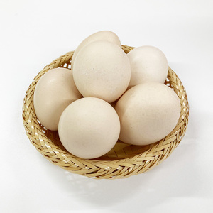 烏骨鶏　濃厚な黄身！爽やかな白身が自慢！【烏骨鶏輝翔卵】20玉 ◇ ※離島への配送不可