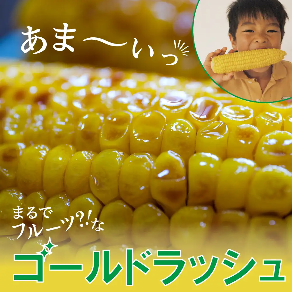 とうもろこし ゴールドラッシュ 20本 トウモロコシ 北海道 芽室町