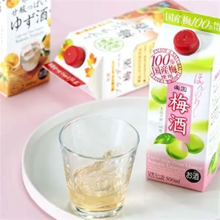 梅酒・ゆず酒　500mlパック　6本セット(3種類×各2本)_酒・アルコール 梅酒    酒・アルコール リキュール・洋酒  _【1139985】