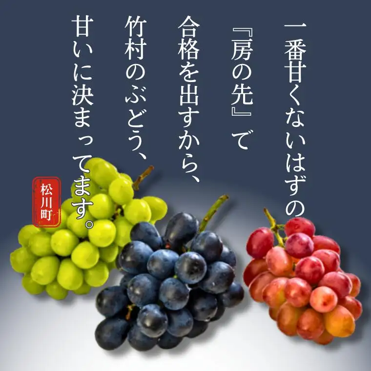 ぶどう クイーンルージュ®  約2kg／2026年9月下旬から10月頃 配送予定［TK08］//稀少 新品種 長野県 南信州 高糖度 葡萄 クインルージュ 甘い 種なし 皮ごと 先行予約